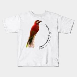 Crimson-mantled woodpecker exotic bird Kids T-Shirt